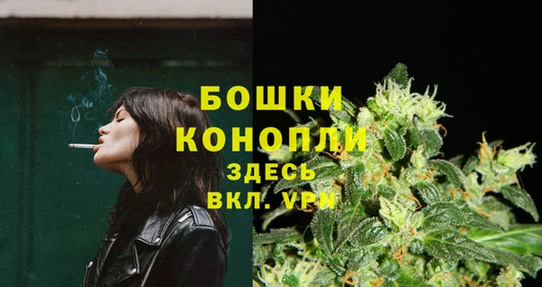 PSILOCYBIN Белокуриха
