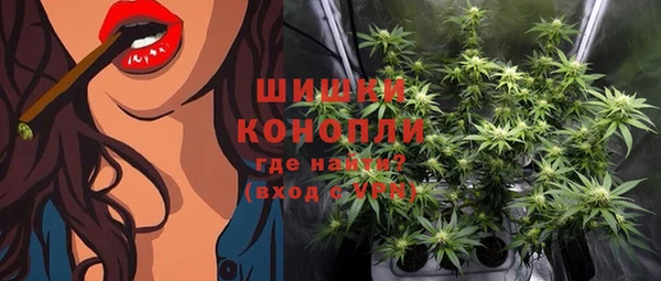 PSILOCYBIN Белокуриха